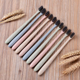 Nano-Antibacterial Toothbrush