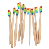 Rainbow Bamboo Toothbrush Oral Care